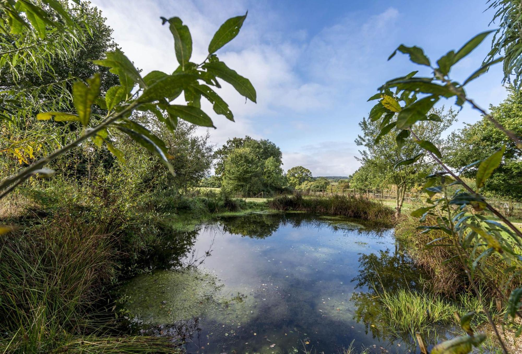 Hearn Lodge Nether Stowey Экстерьер фото